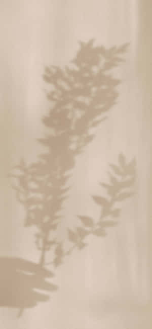 Soft Beige_ Floral Shadow_ Art.jpg Wallpaper