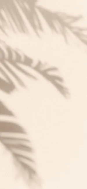 Soft Beige Palm Shadow Aesthetic.jpg Wallpaper
