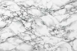 Soft Black And White Marble Wallpaper