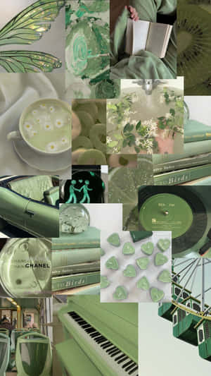 Soft Green Aesthetic Collage Wallpaper