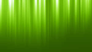 Soft Green Light Rays Background Wallpaper