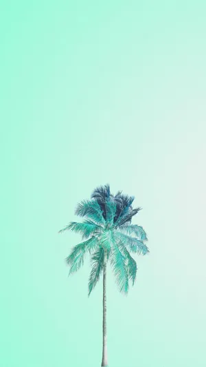 Soft Green Palm Serenity Wallpaper