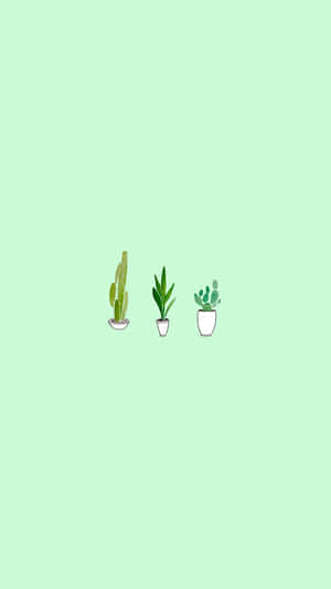 Soft Green Potted Plants Illustration Wallpaper