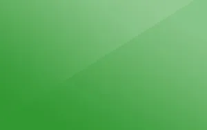 Soft Light Green Background Wallpaper