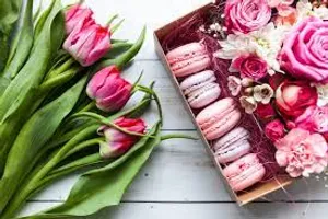 Soft Pastel Pink Aesthetic Wallpaper