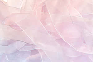 Soft Pink Ribbon Texture Wallpaper