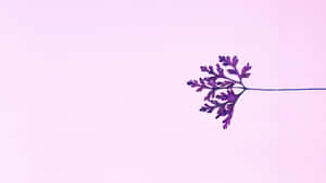 Soft Purple Aesthetic Leaf Silhouette Wallpaper