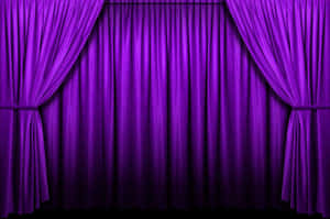 Soft Purple Curtains Wallpaper