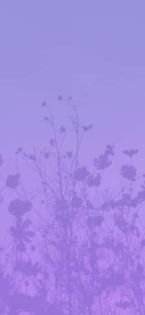 Soft Purple Floral Silhouette Background Wallpaper