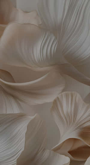 Soft Taupe Floral Texture Wallpaper