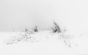 Soft White Aesthetic Landscape Wallpaper