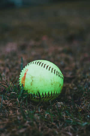 Softballin Grass Aesthetic Wallpaper