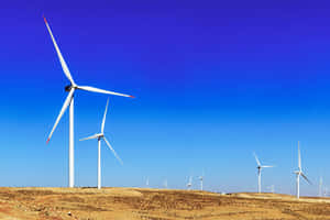 Solar Panels And Wind Turbines Generating Renewable Energy Wallpaper