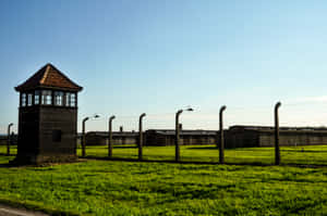 Solemn Beauty Of The Auschwitz-birkenau Memorial And Museum Wallpaper