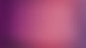 Solid Background Violet And Pink Gradient Wallpaper