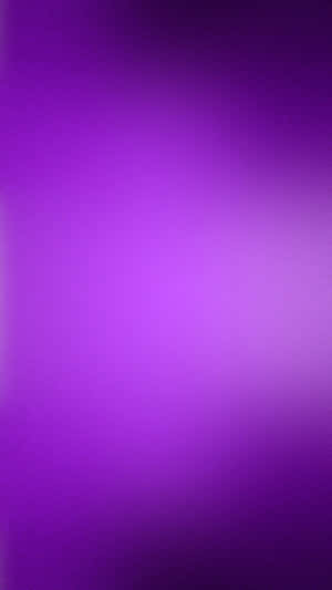 Solid Black And Purple Wallpaper