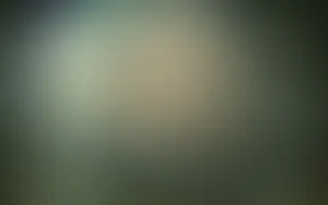 Solid Color Blurry Gray Wallpaper