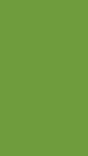 Solid Color Chartreuse Green Wallpaper