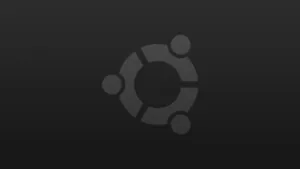 Solid Dark Grey Elegance Wallpaper