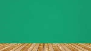 Solid Green Wall Wallpaper