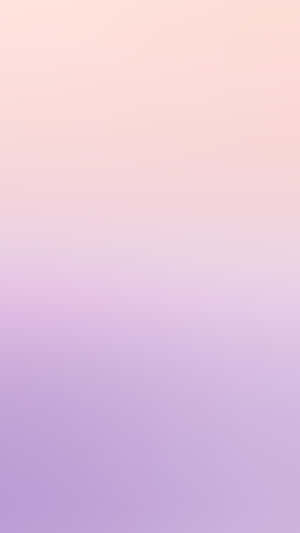 Solid Light Purple Wallpaper