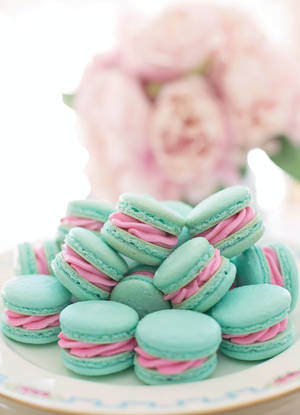 Solid Pastel Color Blue Pink Macaroons Wallpaper