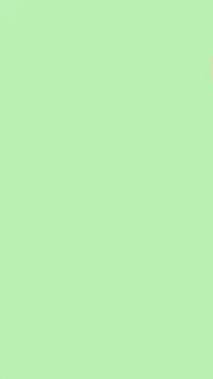 Solid Pastel Green Wallpaper
