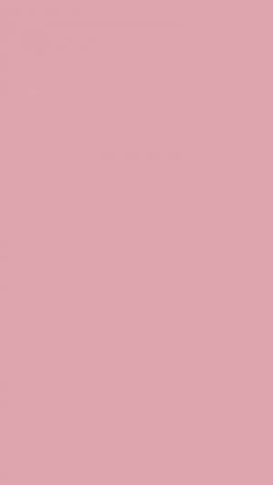 Solid Pastel Rose Pink Wallpaper