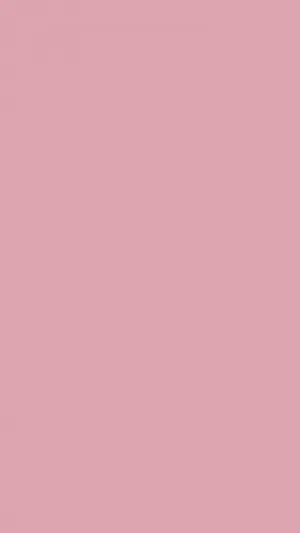 Solid Pastel Rose Pink Wallpaper