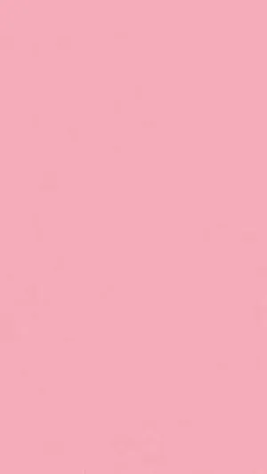 Solid Pink Background Wallpaper