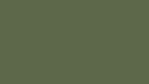 Solid Sage Green Background Wallpaper