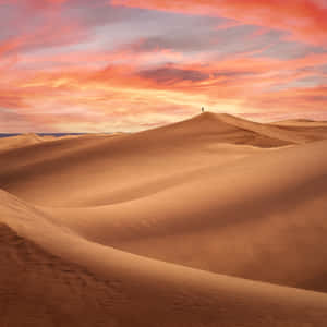 Solitary_ Desert_ Wanderer_at_ Sunset Wallpaper