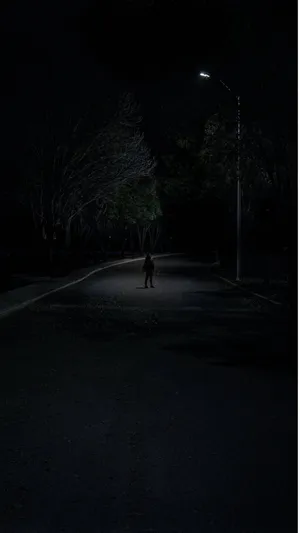 Solitary_ Figure_ Under_ Streetlight Wallpaper