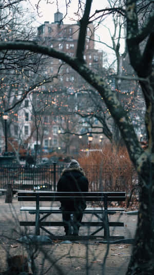 Solitary_ Park_ Bench_ Moment Wallpaper