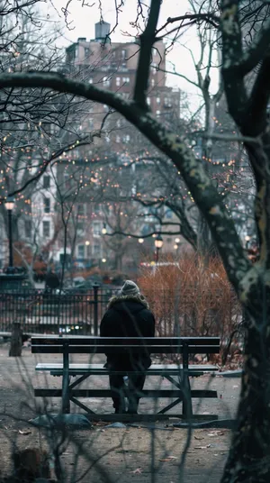 Solitary_ Park_ Bench_ Moment Wallpaper