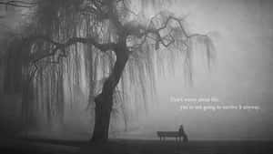 Solitary Person Sitting On Bench Wallpaper