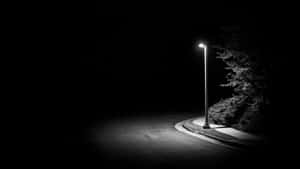 Solitary_ Streetlight_ Nocturne_4 K_ B W Wallpaper