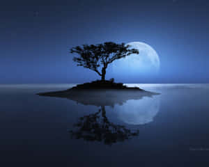 Solitary Tree In Sea Wallpaper