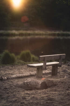 Solitary White Bench Wallpaper