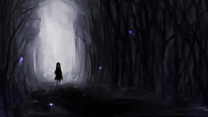 Solitude_in_ Shadowed_ Woods Wallpaper