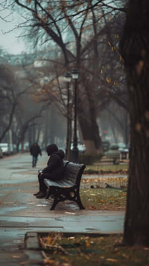 Solitude_in_the_ Park.jpg Wallpaper