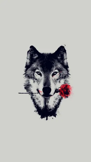 Solitude With The Wolf Wallpaper