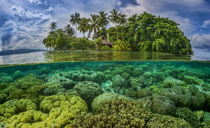 Solomon Islands Underwater View Wallpaper