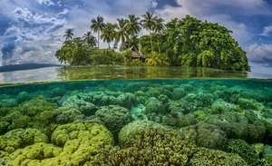 Solomon Islands Underwater View Wallpaper