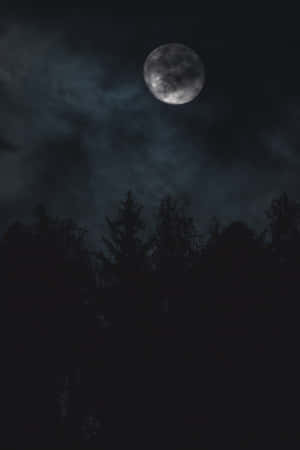 Somber Night Sky Wallpaper