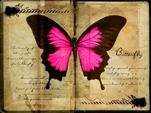 “sometimes Miracles Can Be Found In The Most Unexpected Places.” Wallpaper