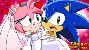 Sonic And Amy's Adventure Wallpaper
