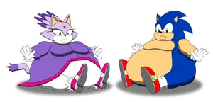 Sonic And Blaze Adventure Wallpaper