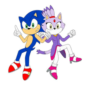 Sonic And Blaze Racing In Action Wallpaper