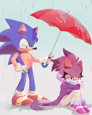 Sonic And Blaze: Racing Through An Adventure Together Wallpaper